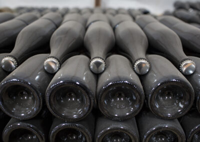 Wine Bottles